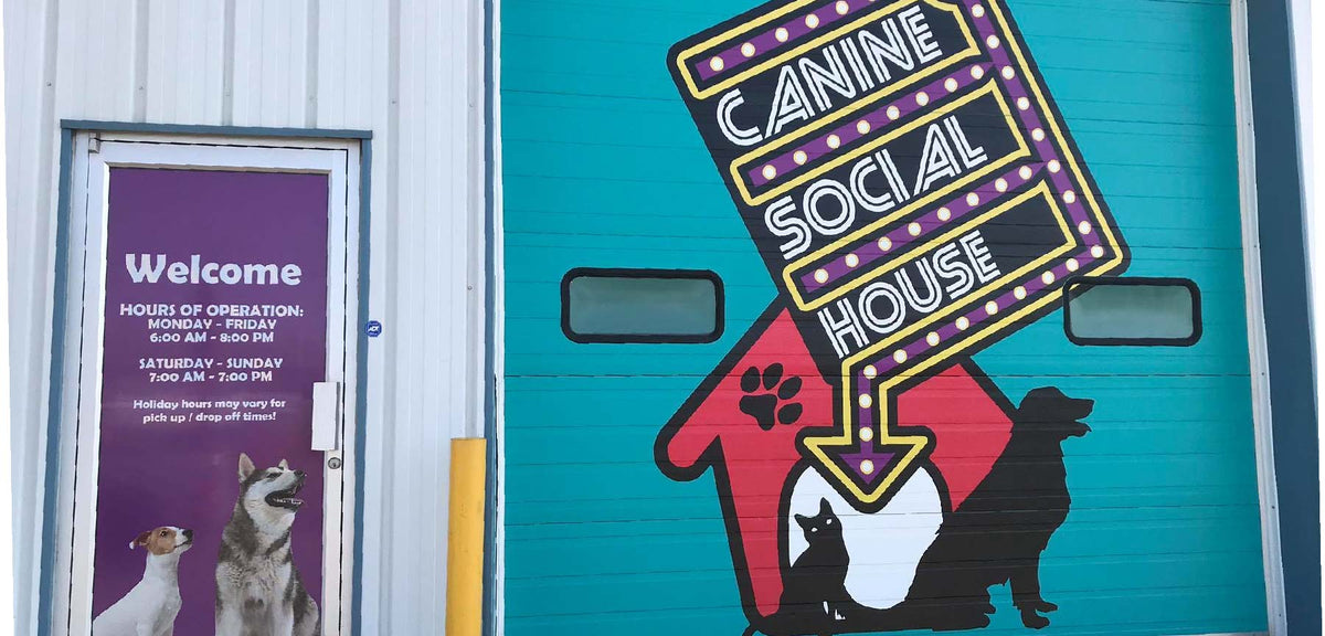 Canine Social House Door Decal